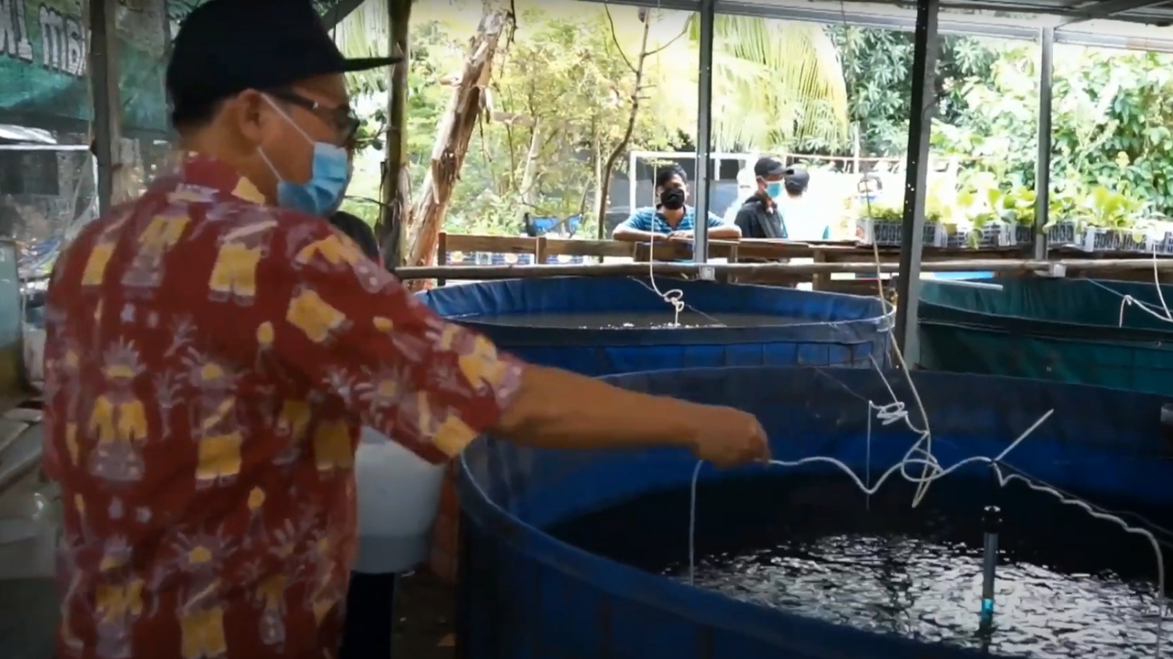 Pembina Kelompok Tani dan Budi Daya Ikan