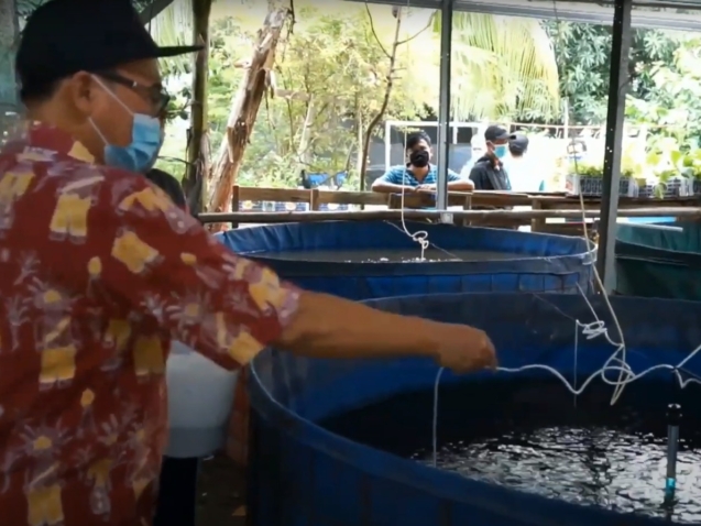 Pembina Kelompok Tani dan Budi Daya Ikan